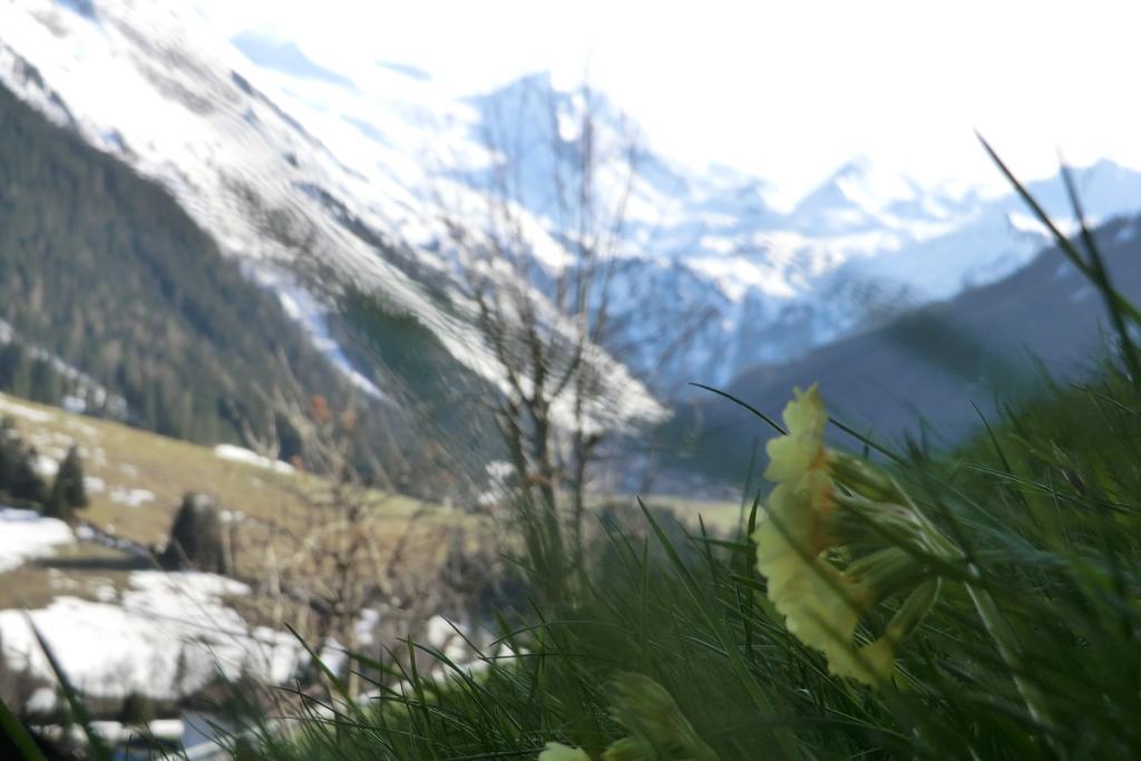 Alps Tux Lägenhet Exteriör bild